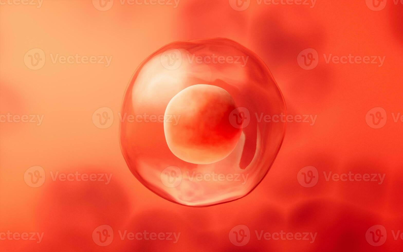 Red cell with biology concept, 3d rendering. photo