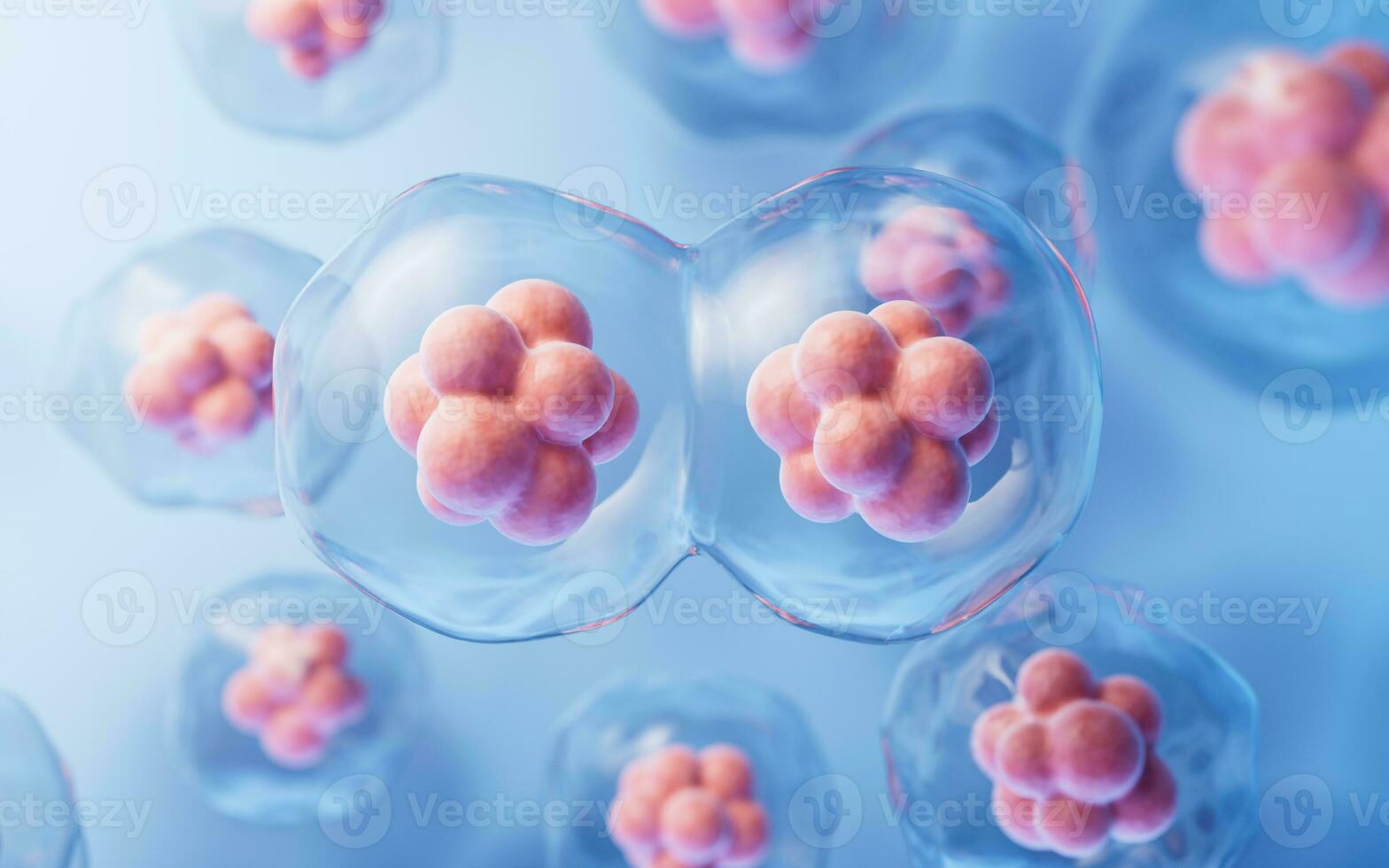 Mitosis of cells with biotechnology concept, 3d rendering. photo