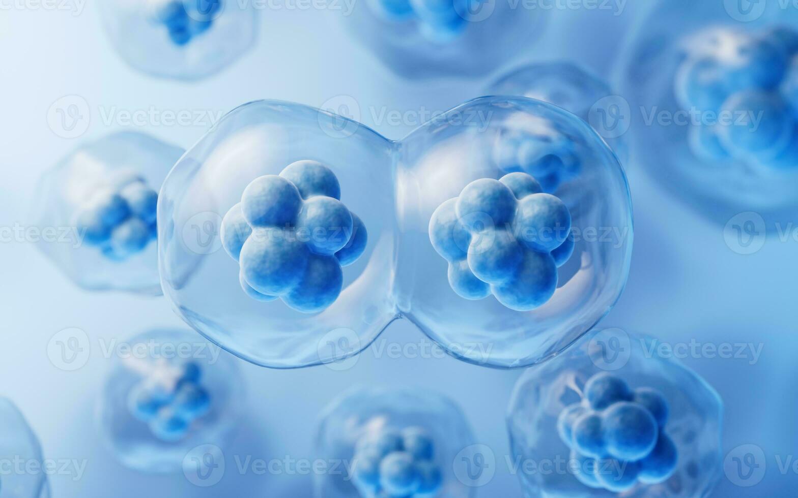 Mitosis of cells with biotechnology concept, 3d rendering. photo