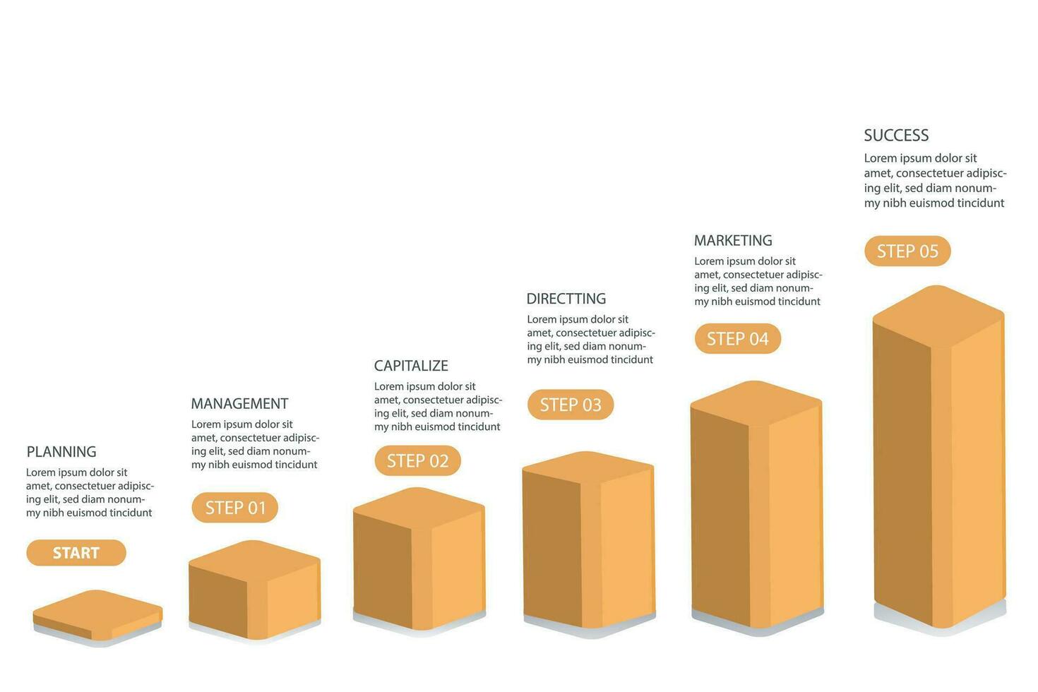 infografía modelo 5 5 paso para negocio la carretera a éxito vector ilustración