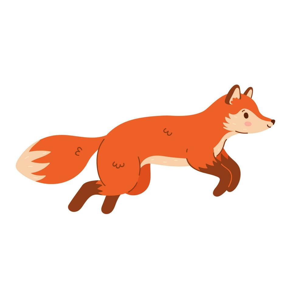 Cute cartoon fox running isolate on white background. Vector graphics.