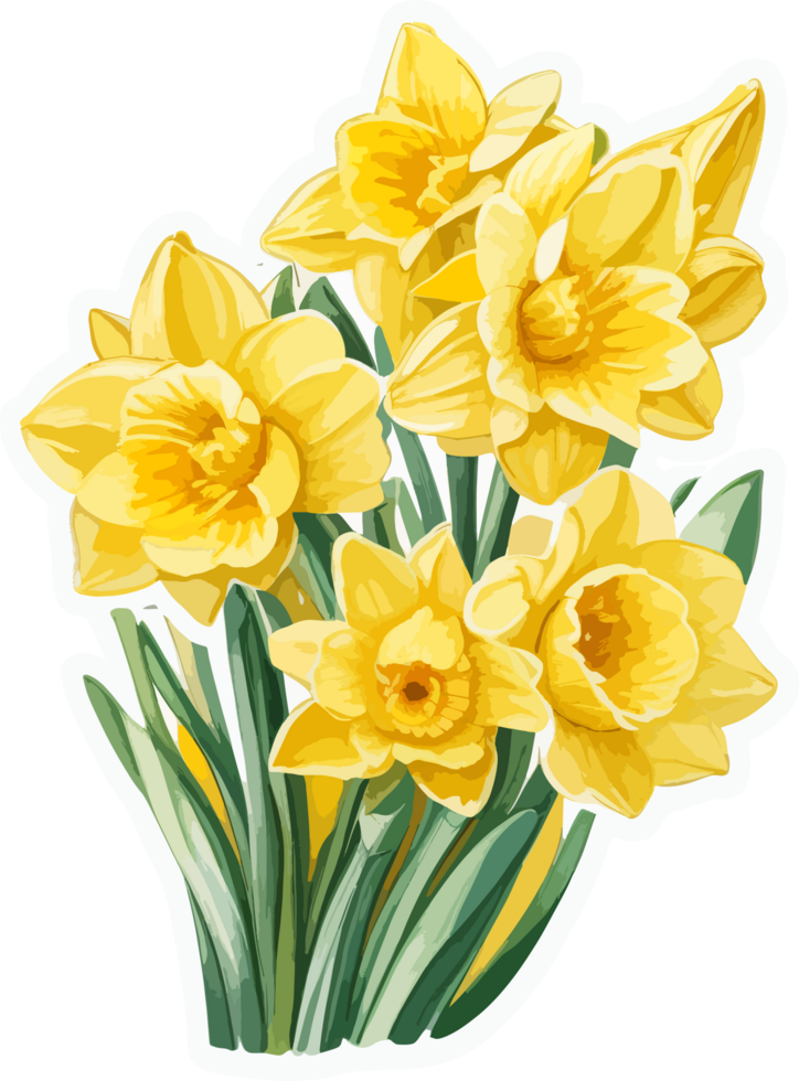 Daffodil Flowers Free PNG AI Generative
