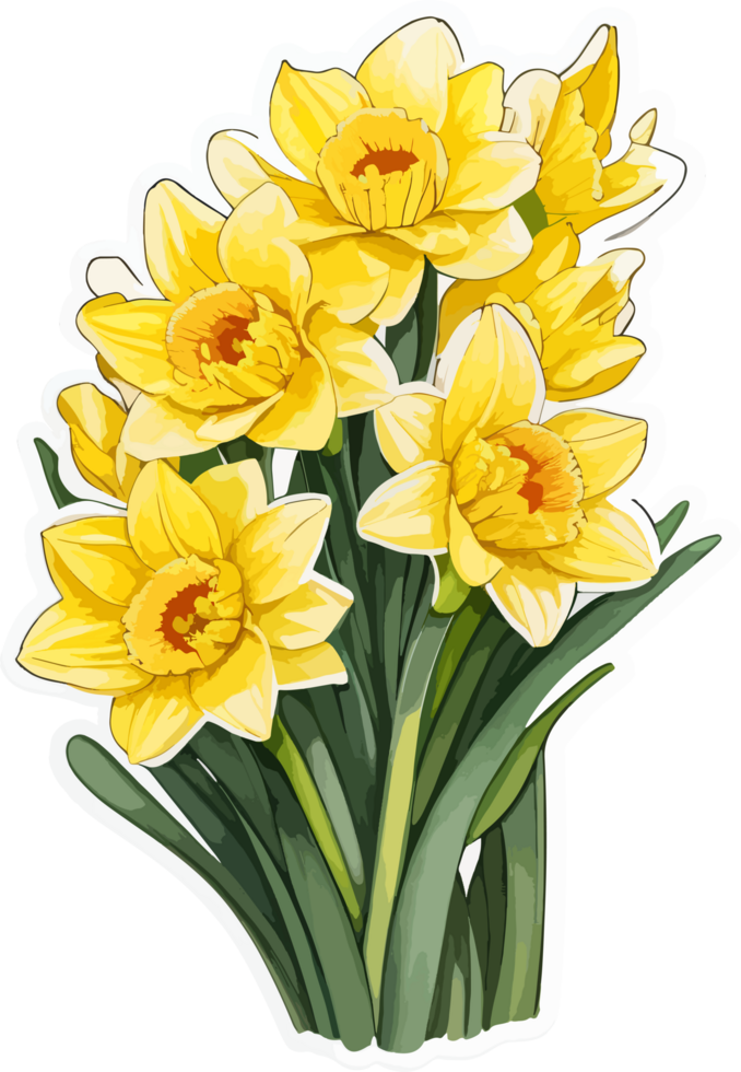 Daffodil Flower Bouquet Clipart with AI Generative png