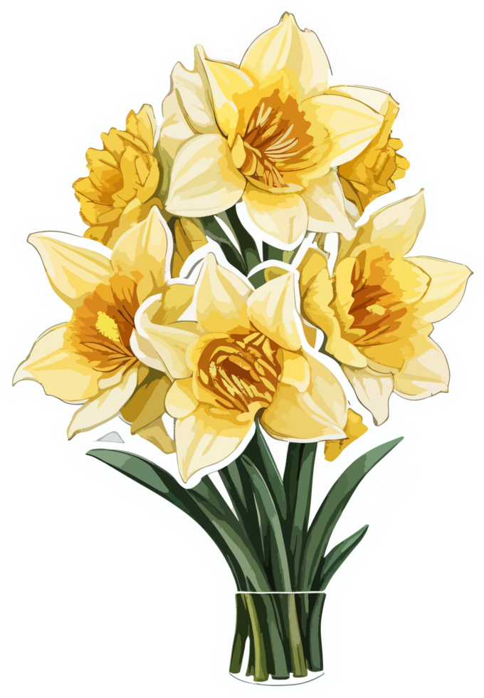 Daffodil Flower Bouquet Illustration AI Generative png