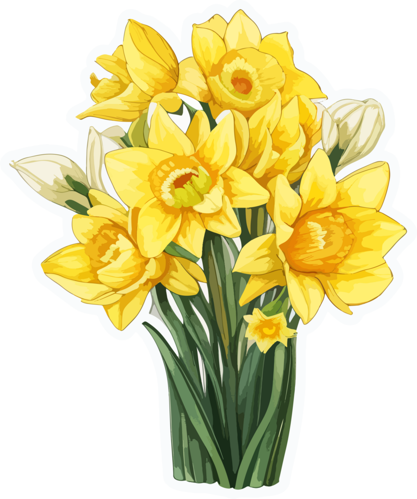 Daffodil Flower Bouquet Clip Art AI Generative png