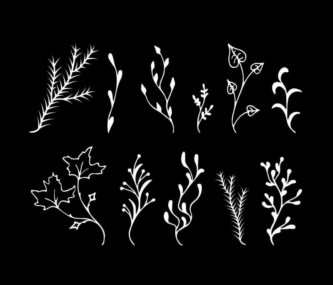 white on black Vector Branches. Twigs maple, aspen, coniferous, herbs. Doodle Vector illustration.