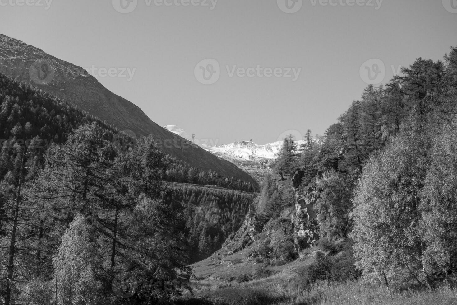 hiking in the swiss alps photo