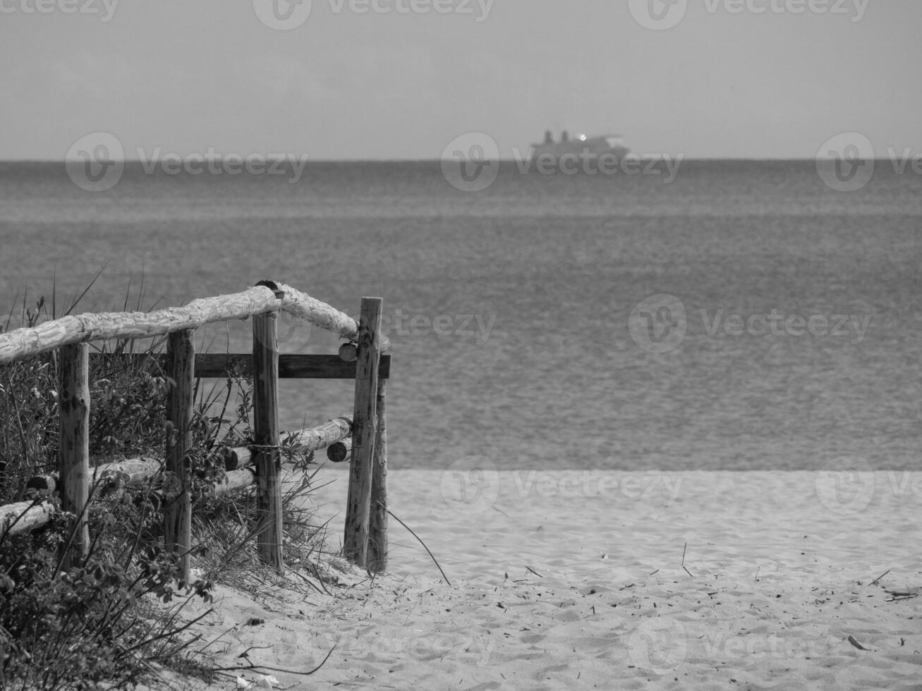 the baltic sea nesar gdansk photo