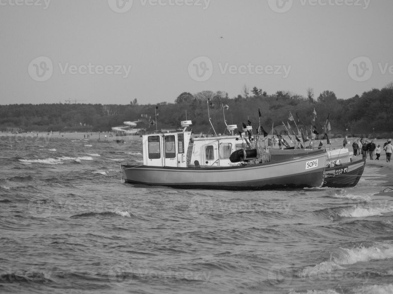 the baltic sea near gdansk photo