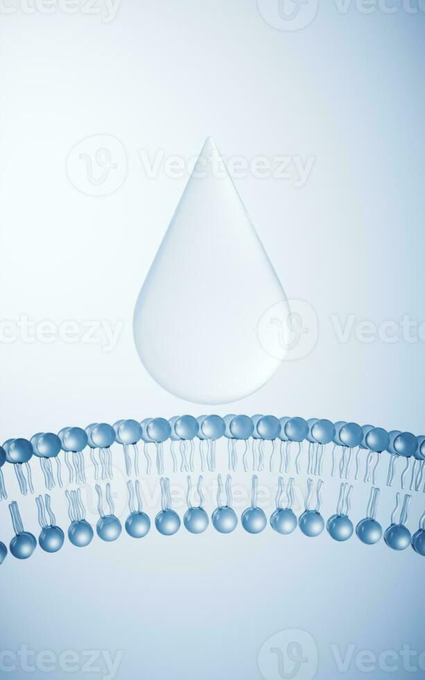 Transparent cytomembrane structure, 3d rendering. photo