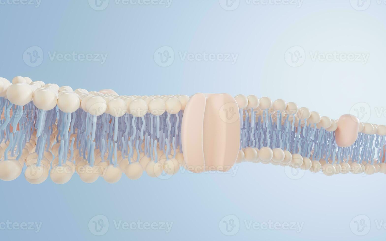 Cell membrane structure background, 3d rendering. photo