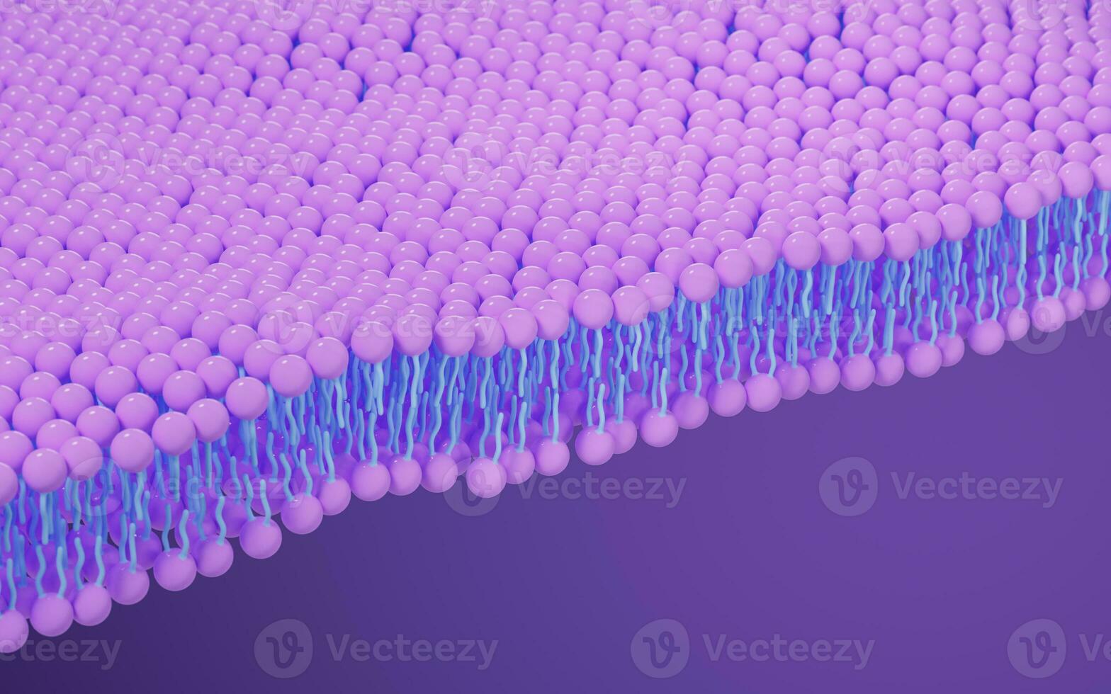 Cell membrane structure background, 3d rendering. photo