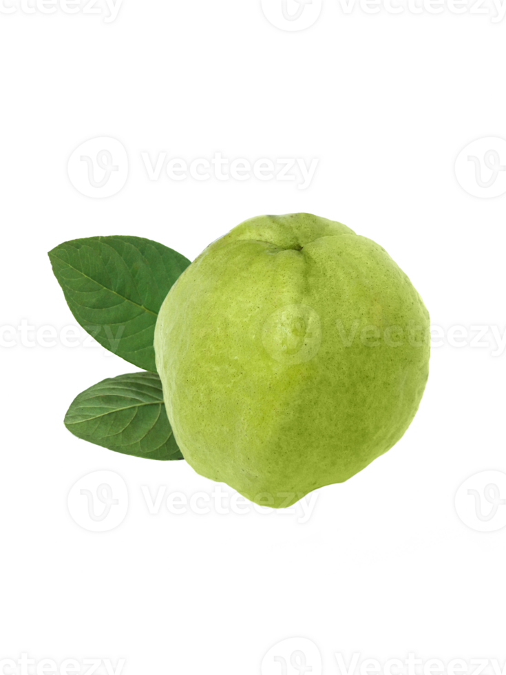 guava tropical fruit. transparent background png