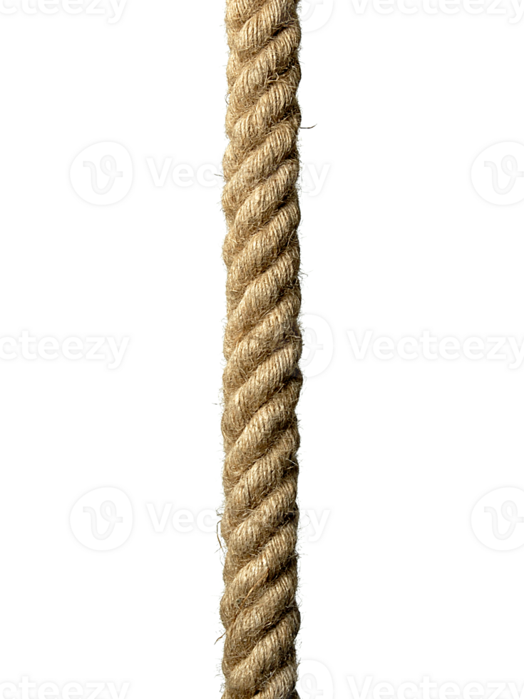 rope. transparent background png