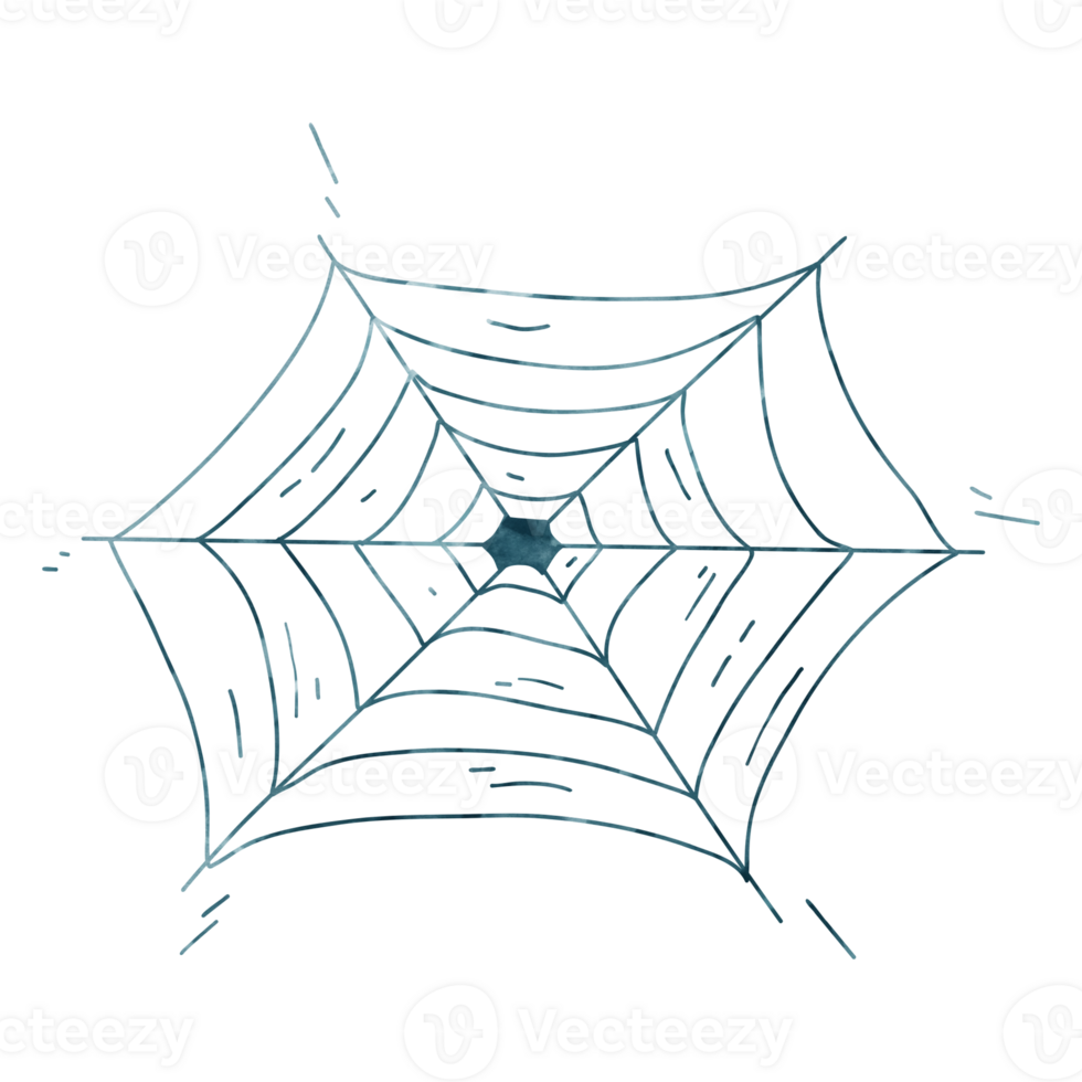 Spider web cartoon painting for decor png