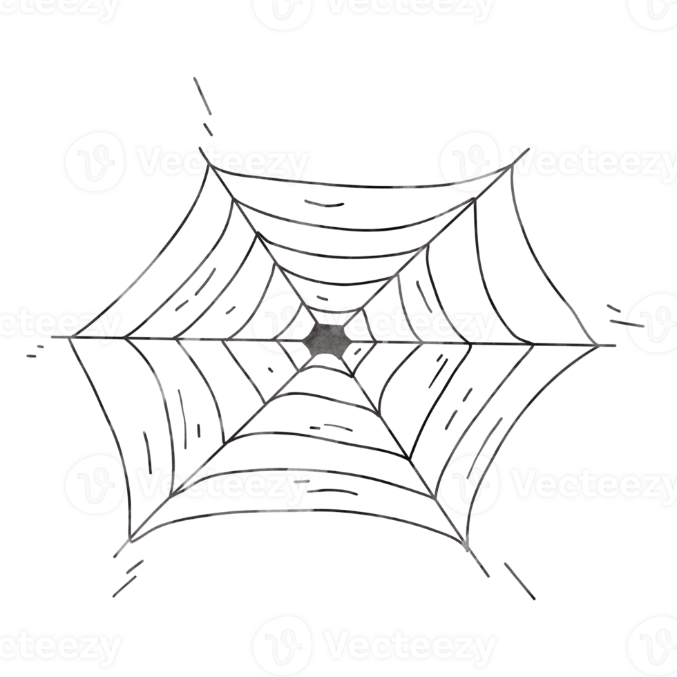 Spider web cartoon painting for decor png