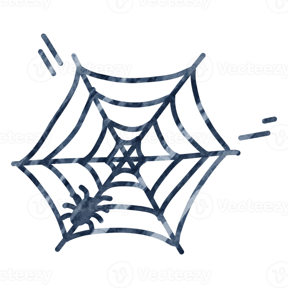 Spider web cartoon painting for decor png