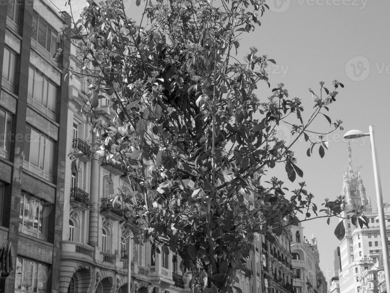 ciudad de madrid en españa foto