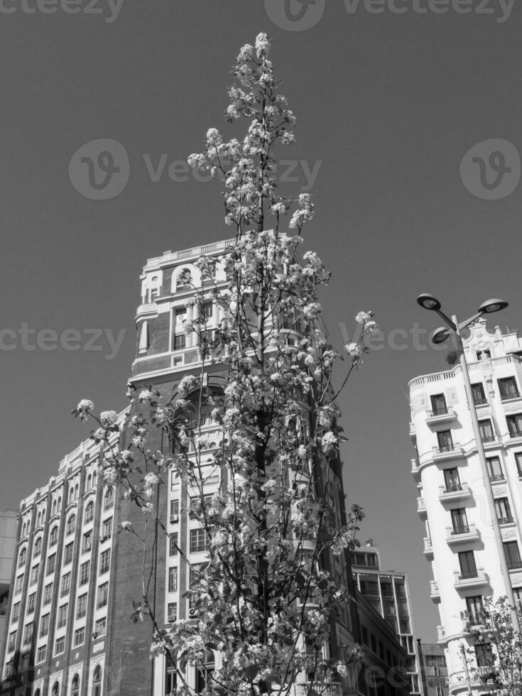 ciudad de madrid en españa foto