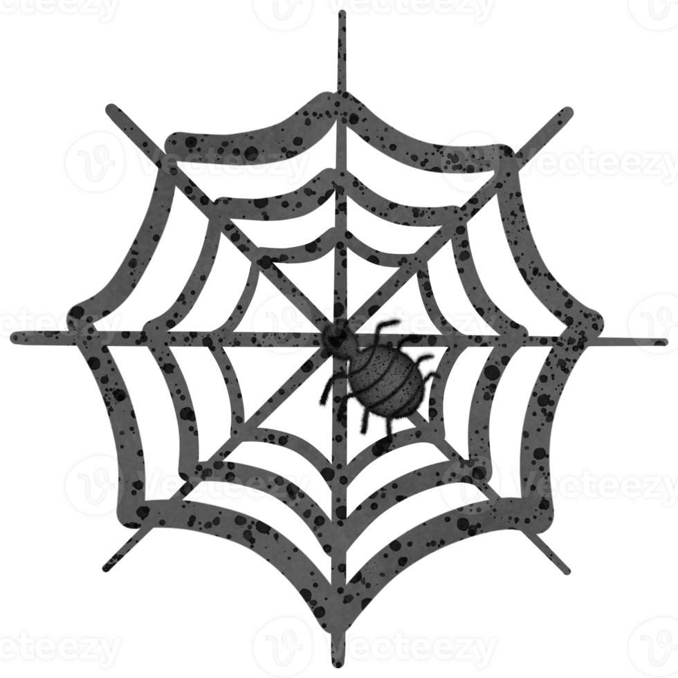 Halloween black spider and spider web isolated on transparent background png