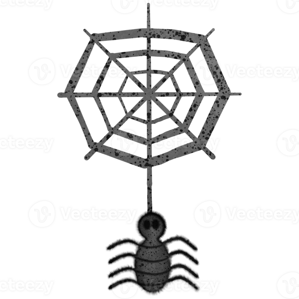 Halloween black spider and spider web isolated on transparent background png