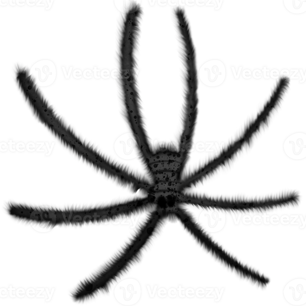Halloween black spider isolated on transparent background png