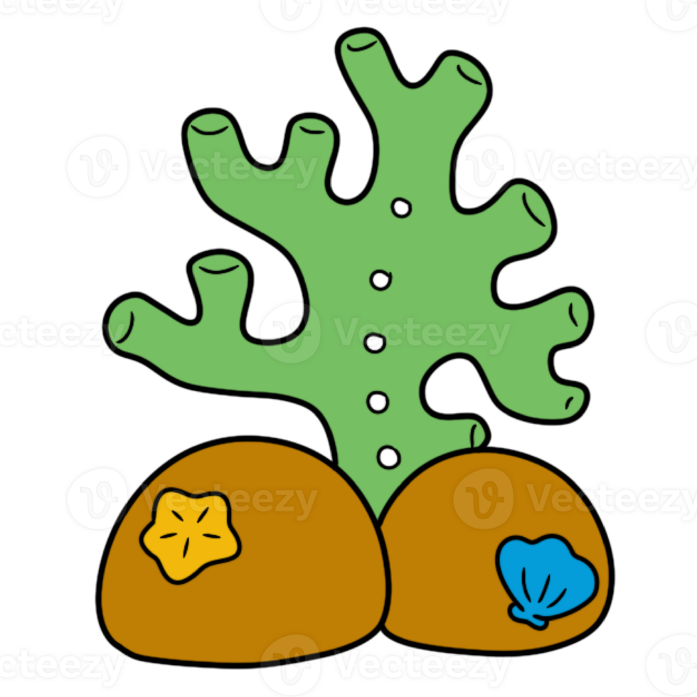 illustration of a seaweed png