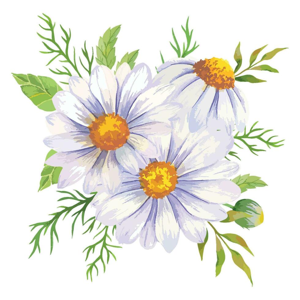 Daisy Watercolor Illustration. Chamomile Bouquet vector