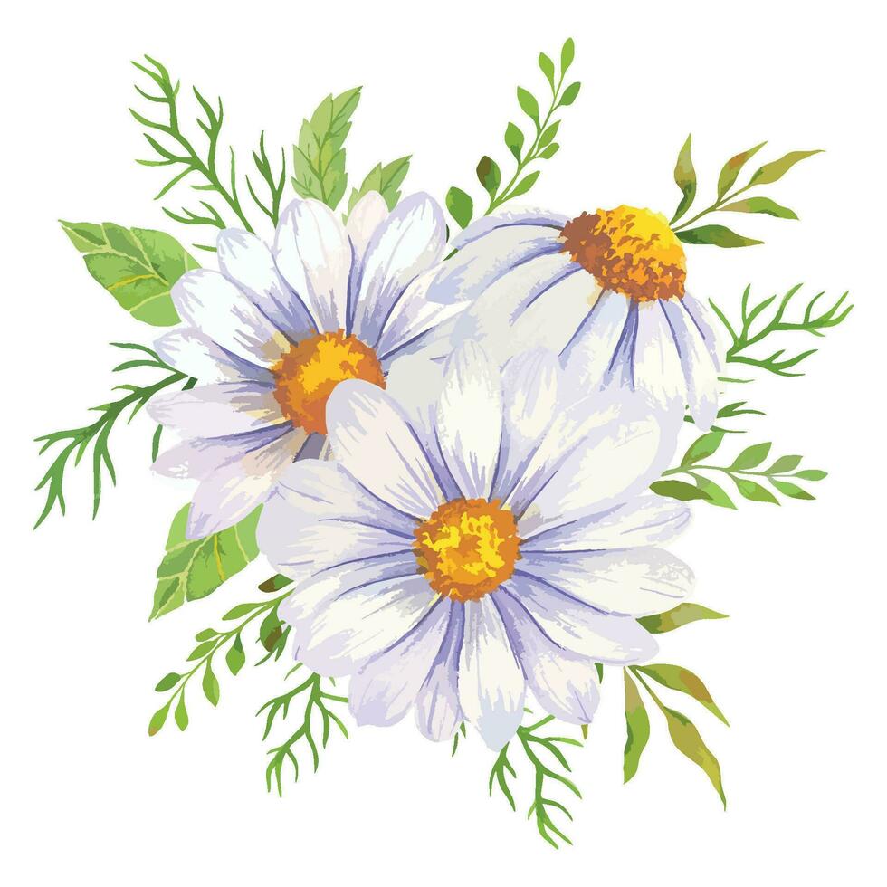 Daisy Watercolor Illustration. Chamomile Bouquet vector