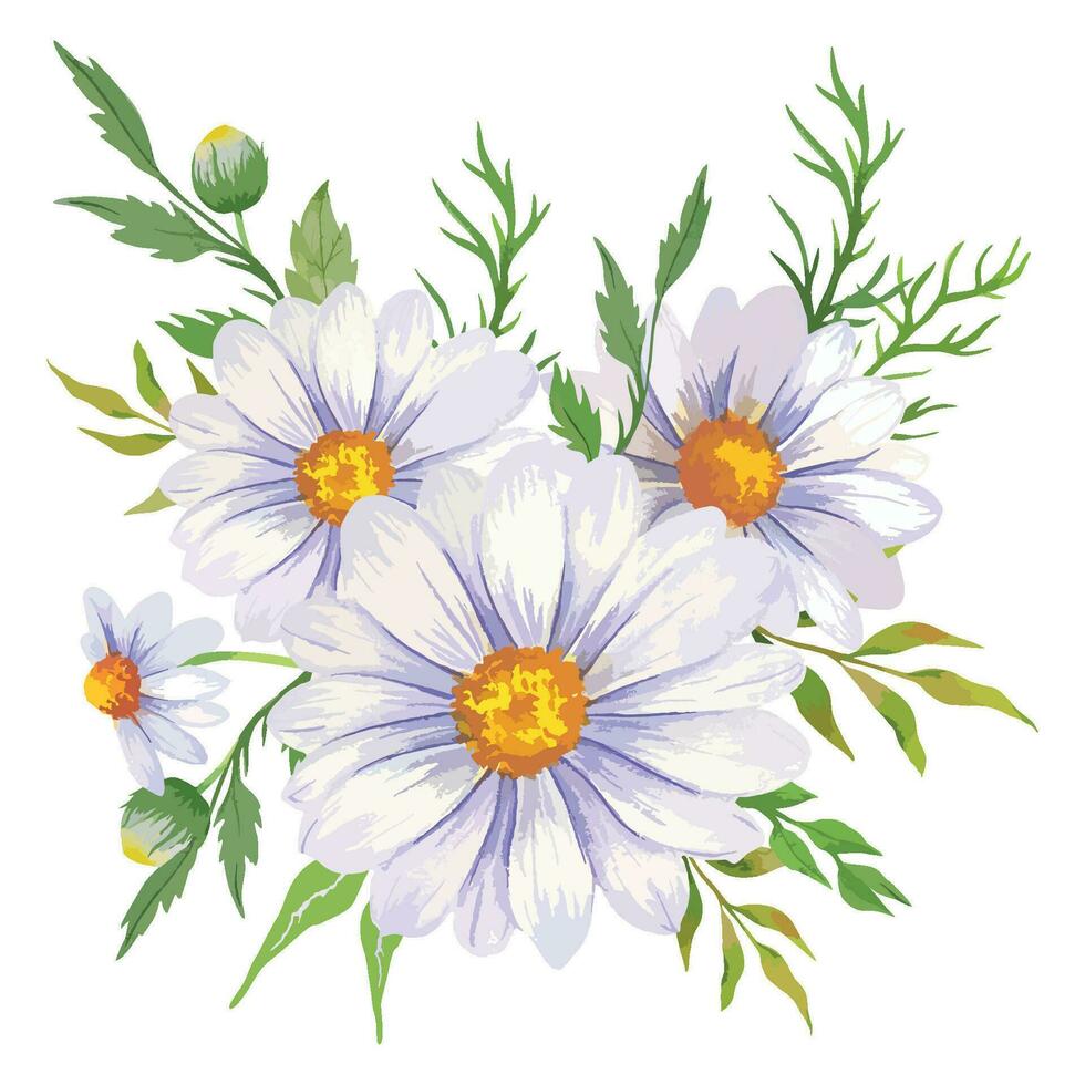 Daisy Watercolor Illustration. Chamomile Bouquet vector