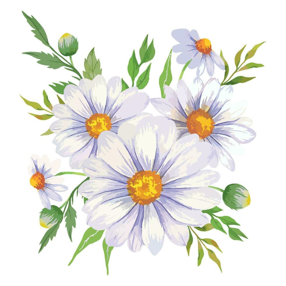 Daisy Watercolor Illustration. Chamomile Bouquet vector