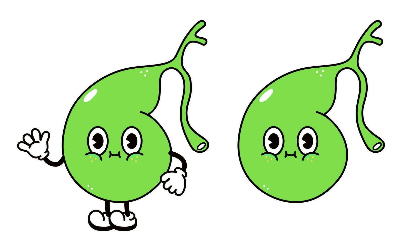 Gallbladder character. Vector hand drawn traditional cartoon vintage, retro, kawaii character illustration icon. Isolated on white background. Gallbladder character concept
