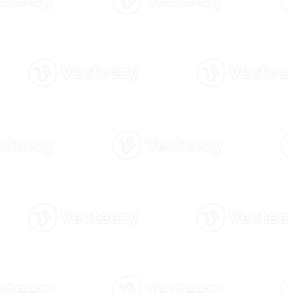 a cute cobweb png