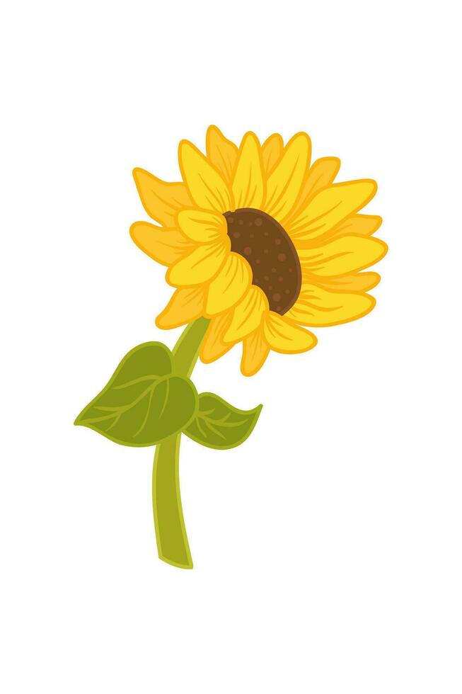 Sunflower Cartoon Illustration Isolated In White vector