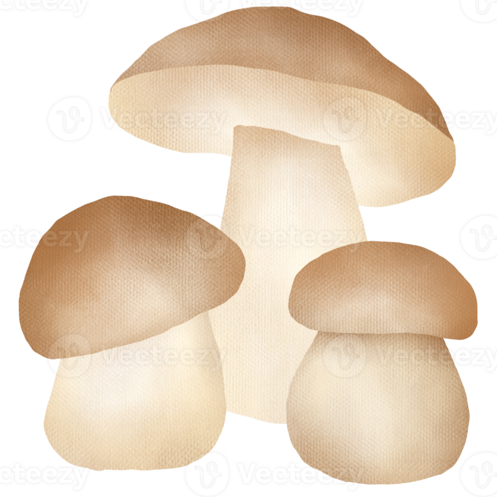 main tiré champignon dessin png