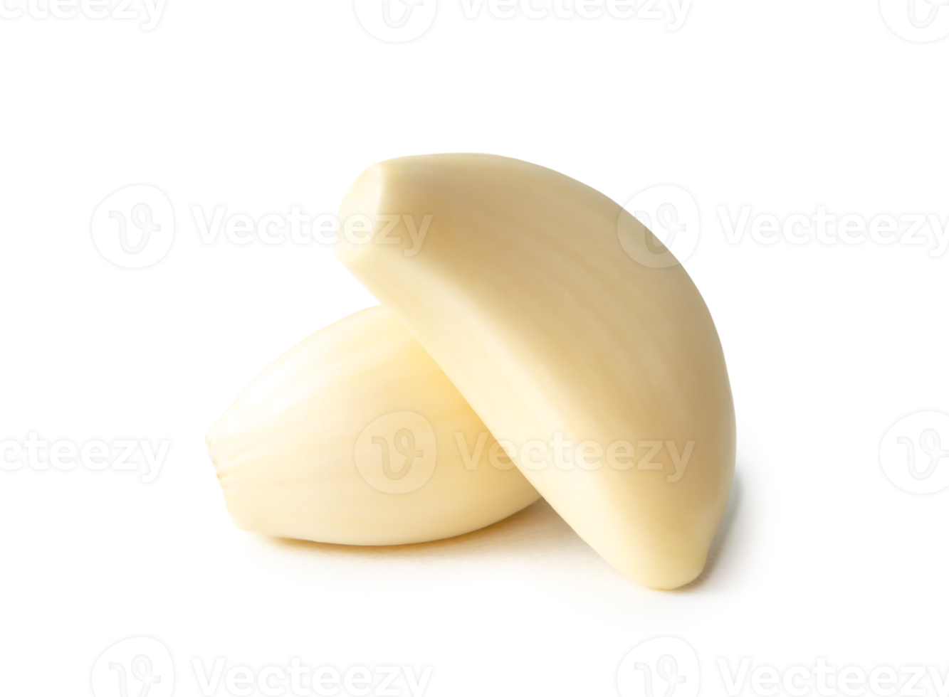 Two fresh peeled garlic cloves isolated with clipping path and shadow in png file format
