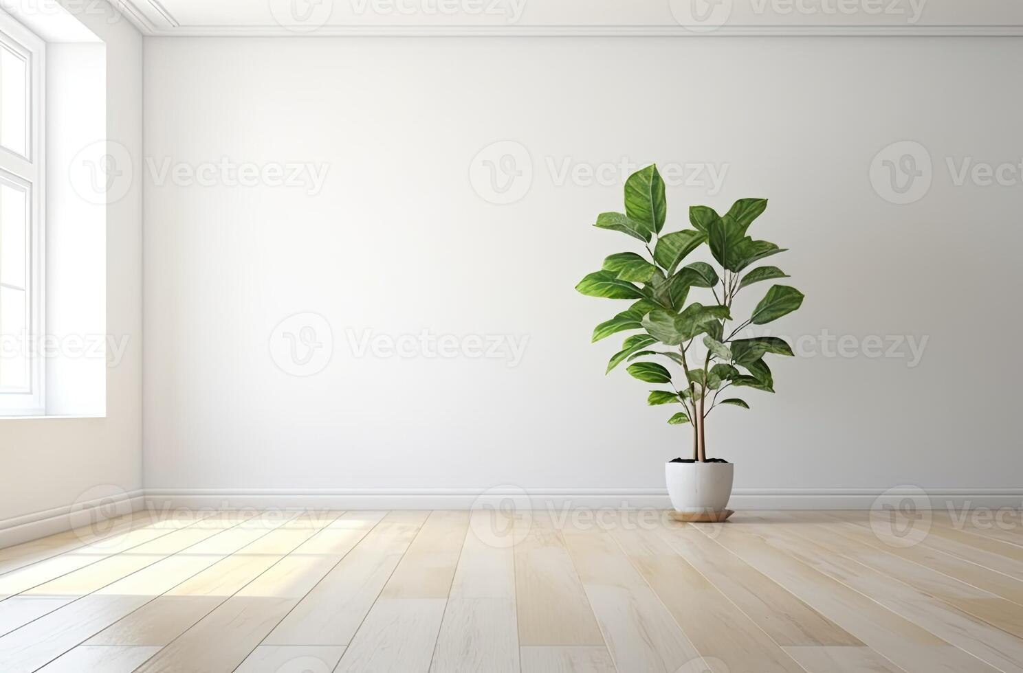 Empty white room with a wooden floor and a plant on the floor. photo