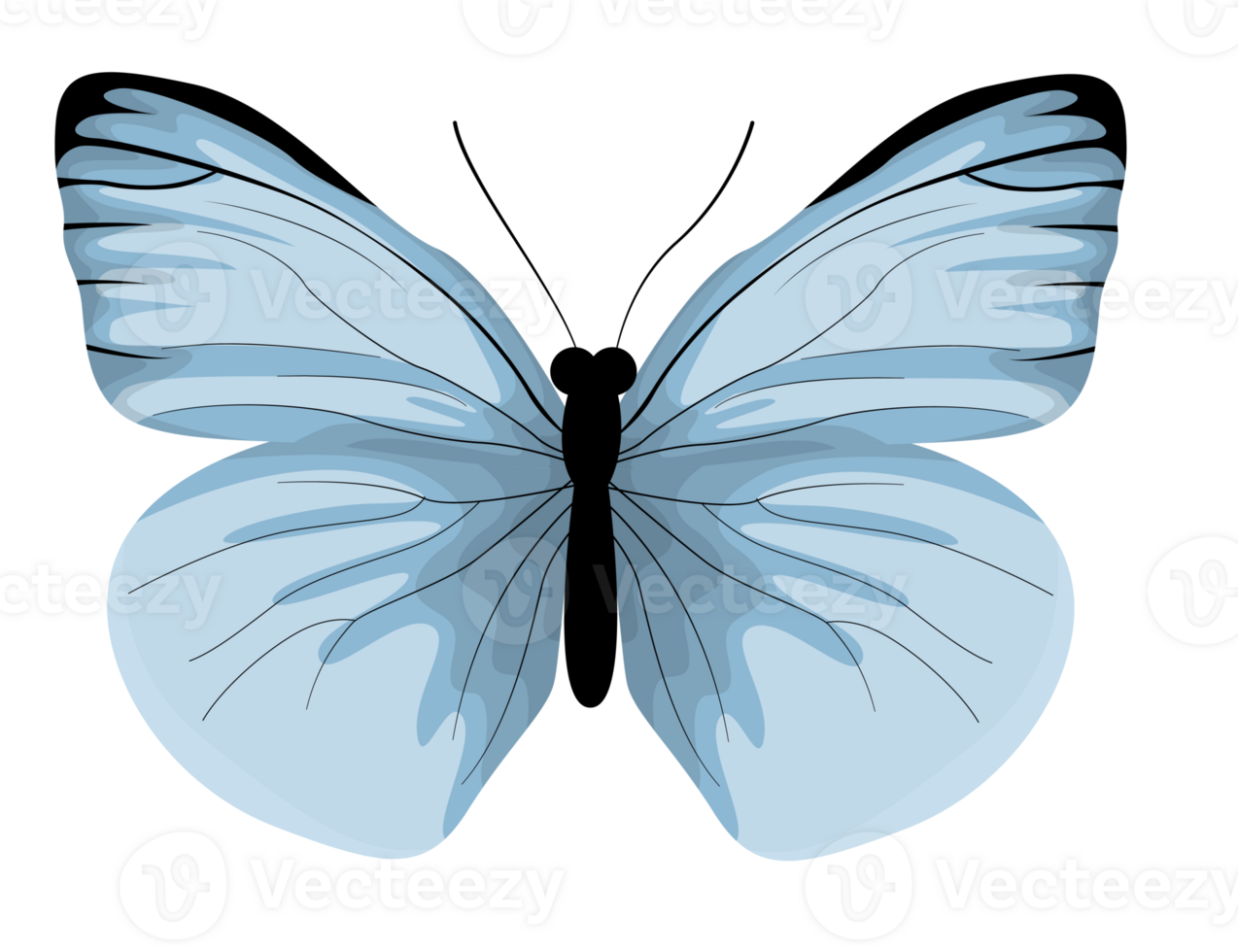 Realistic Blue Butterfly Illustration, Blue Butterfly Vector, Insect Butterfly Collection png