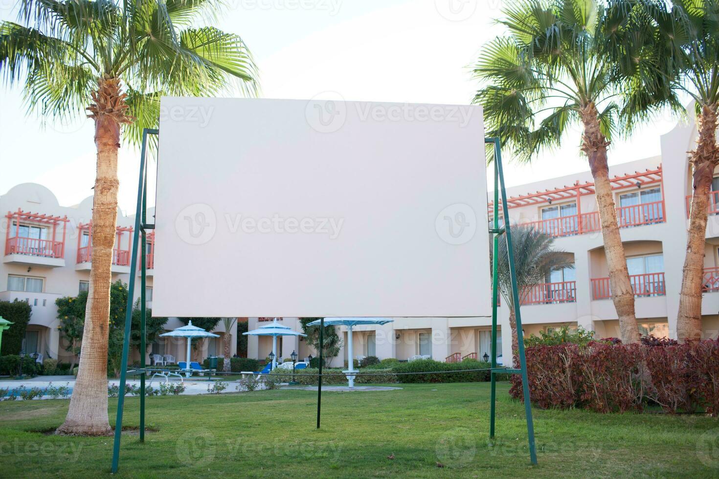 Blank billboard with tropical palm trees photo