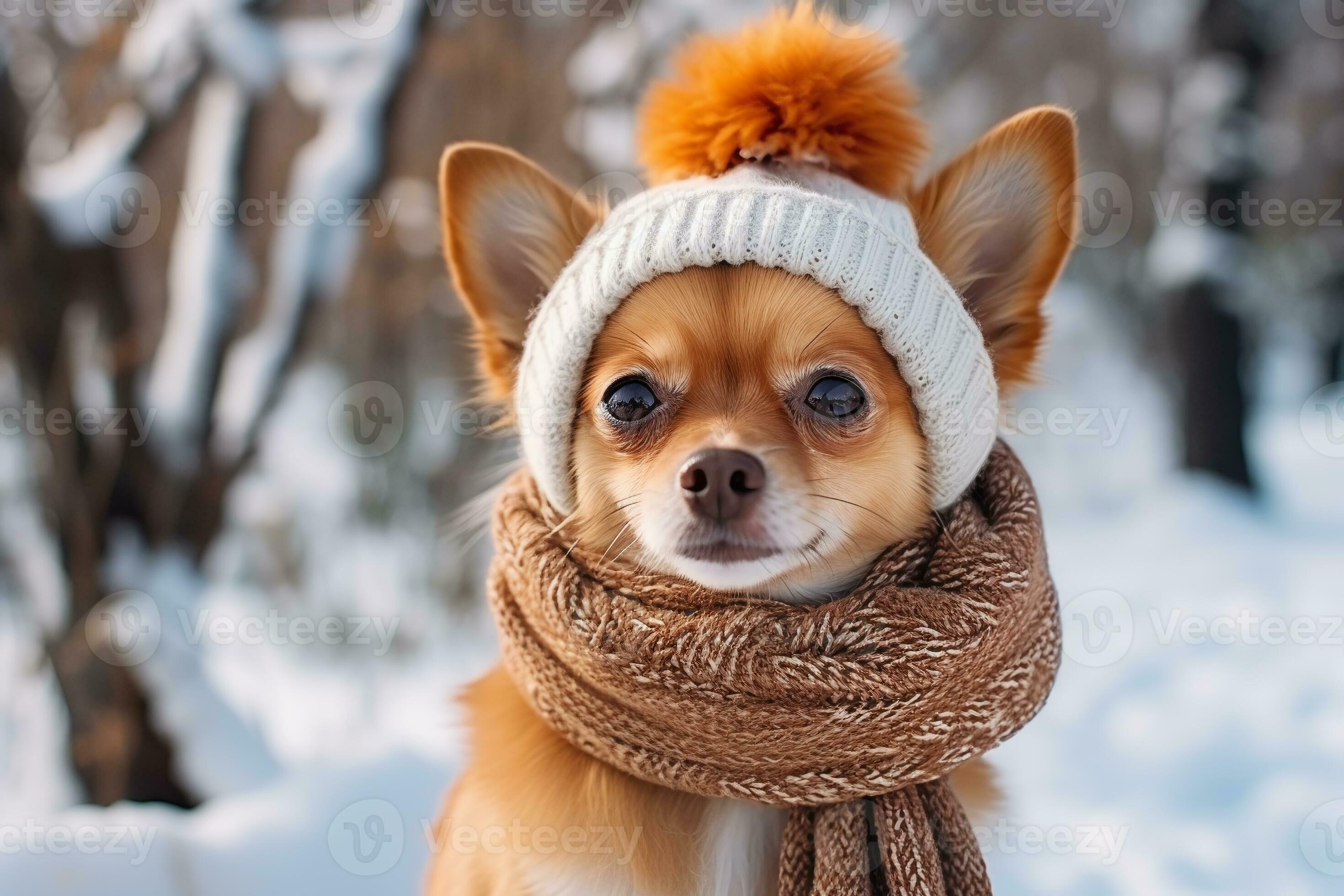 cute dog in a hat and scarf on a winter background. ai generative 27788481 Stock Photo at Vecteezy