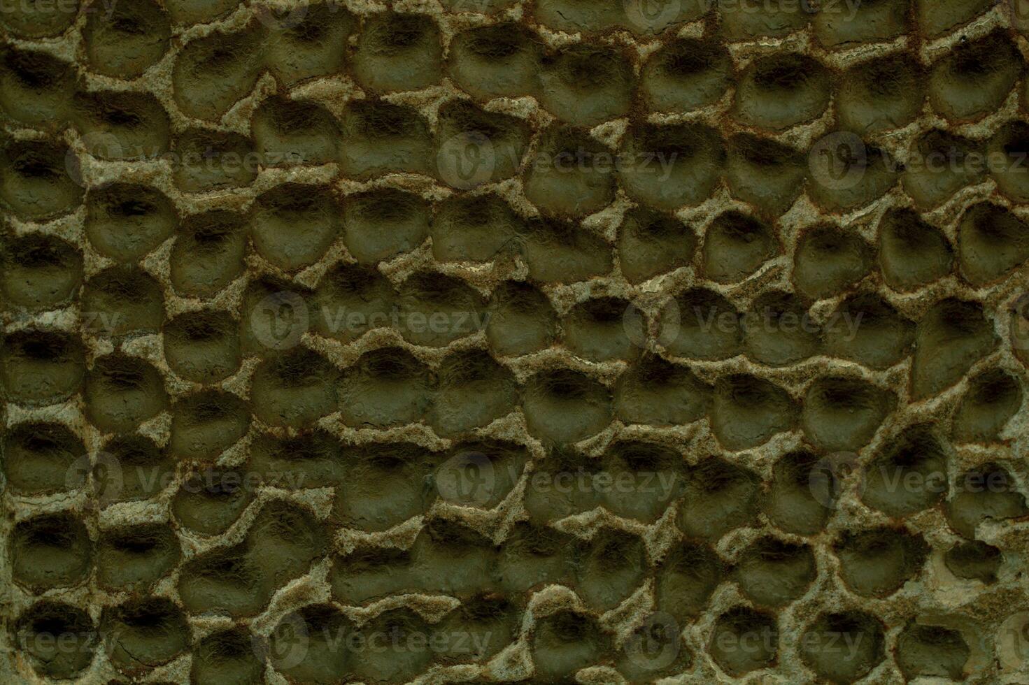 Decorative plaster on a wall with honeycomb effect photo