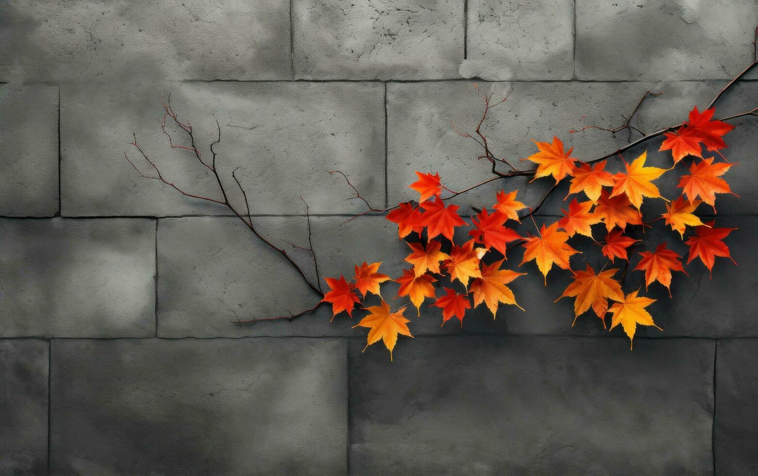 Golden maple leaves background 27788876 Stock Photo at Vecteezy