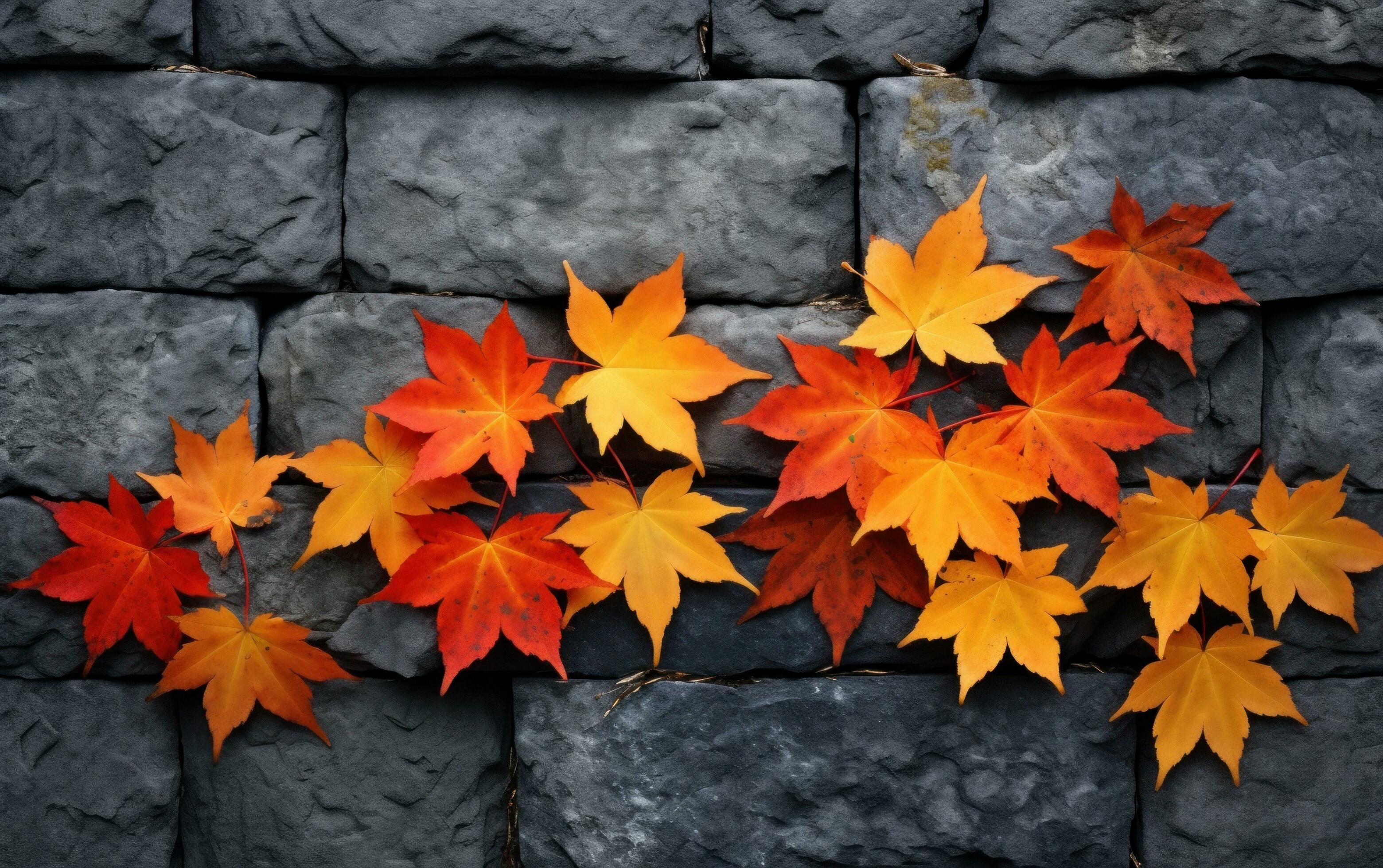 Golden maple leaves background 27788879 Stock Photo at Vecteezy