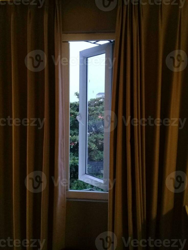 View of trees from windows and curtains photo
