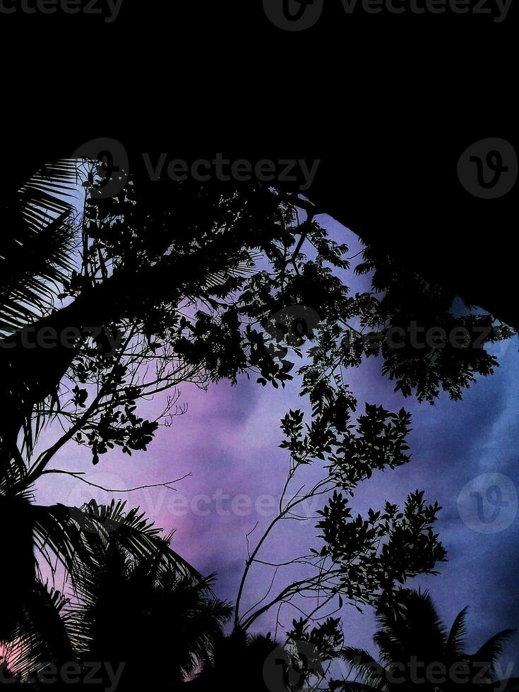 Beautiful views of blue and orange skies and shady tree silhouettes photo