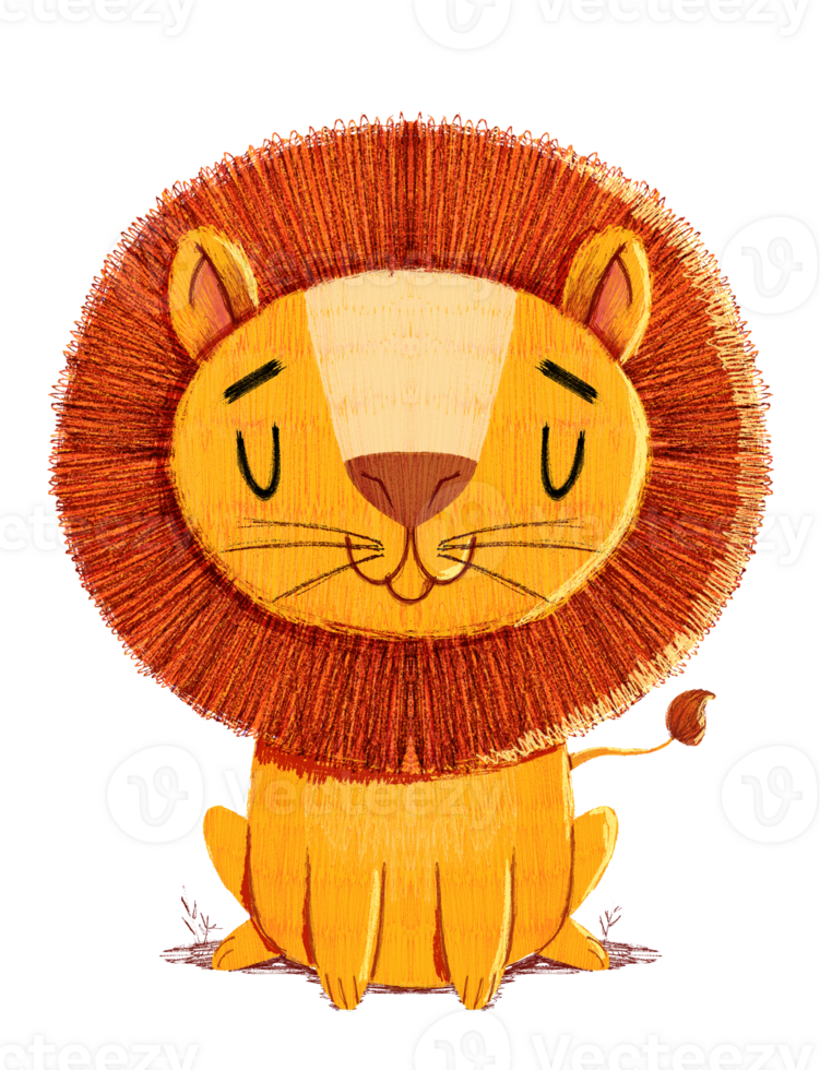 Little lion, cute hand draw illustrator png