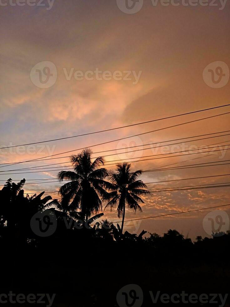 View of the beautiful orange sky and silhouettes of trees photo