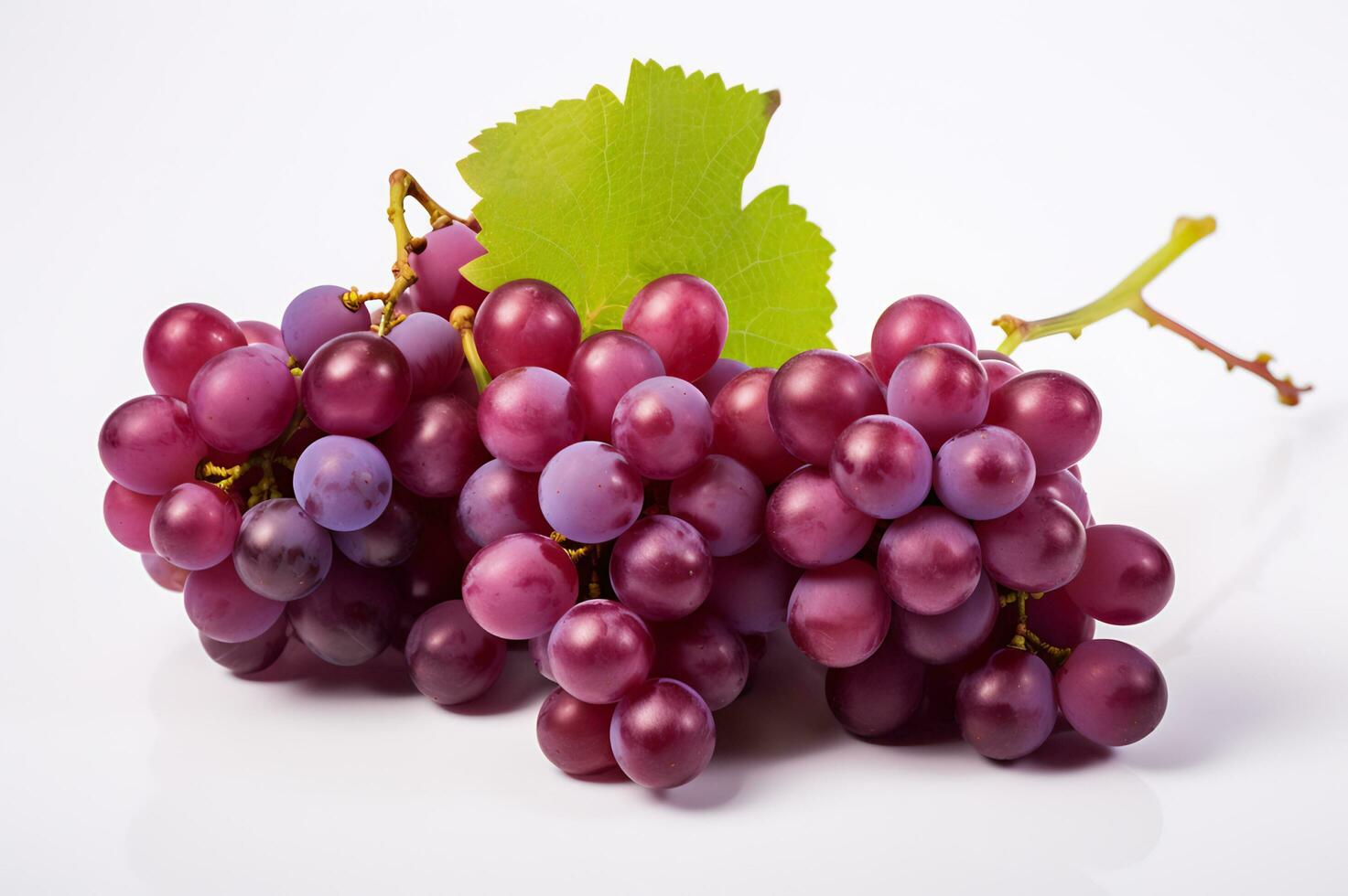 Juicy grape bunch ripe and fresh photo