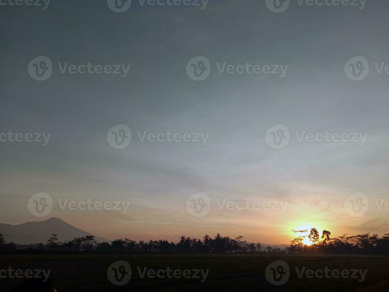 ver de arroz campos y montañas foto