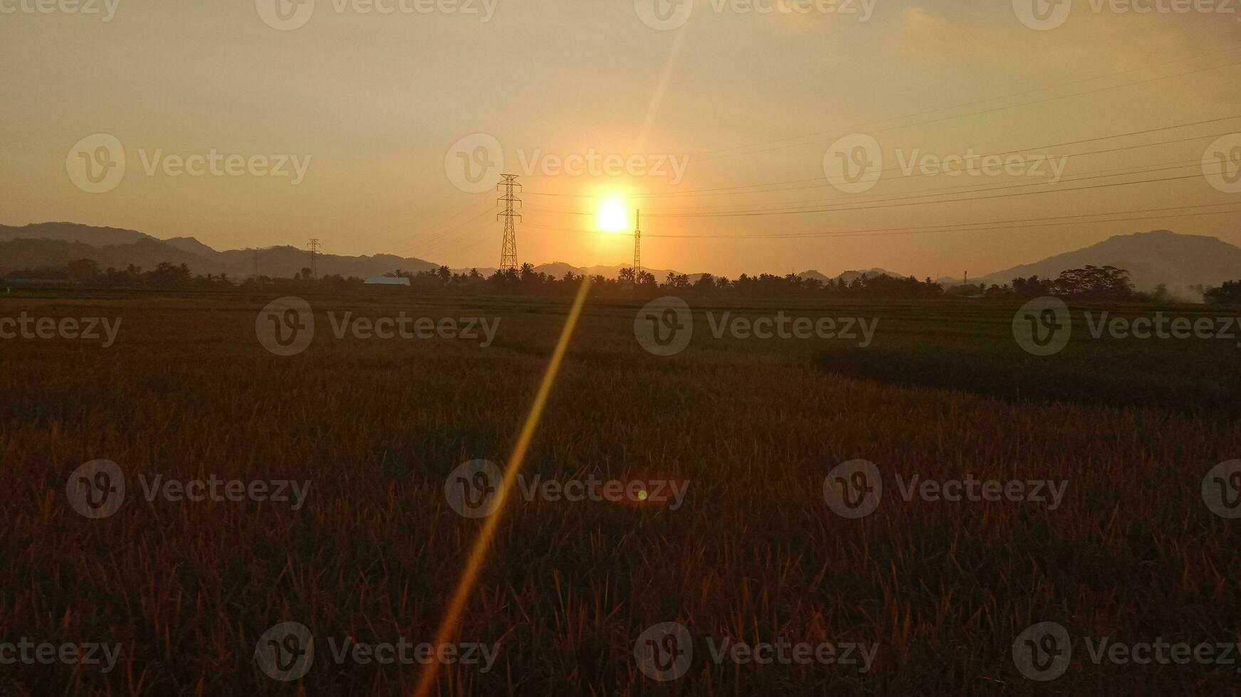 View of rice fields and mountain photo